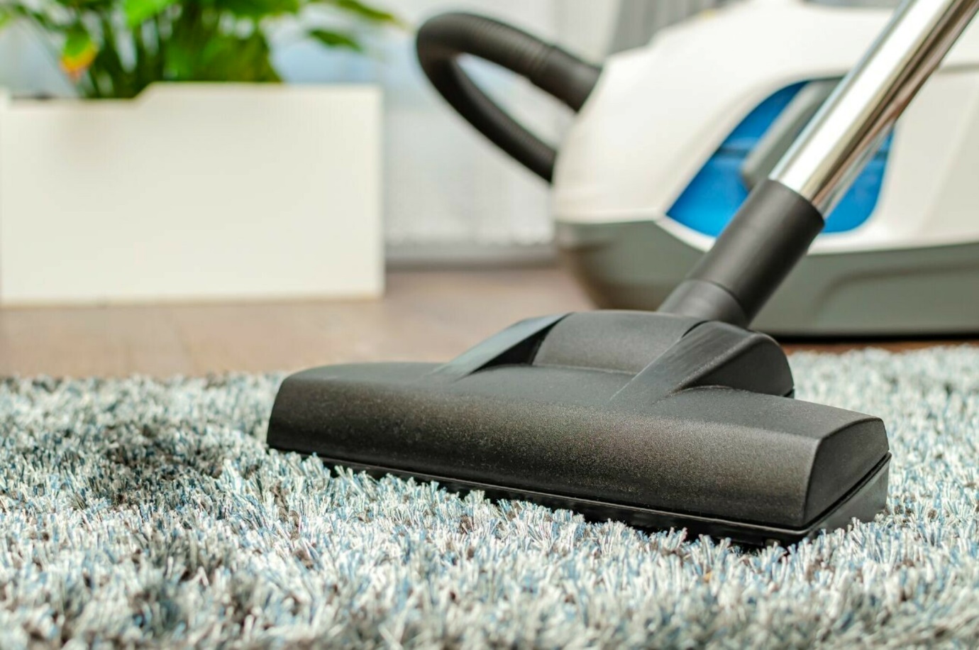 carpet repair pexels-ahmet-kayra-15390926